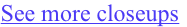 shapeimage_2_link_0
